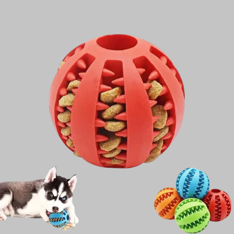 Dog Ball Treat Dropper