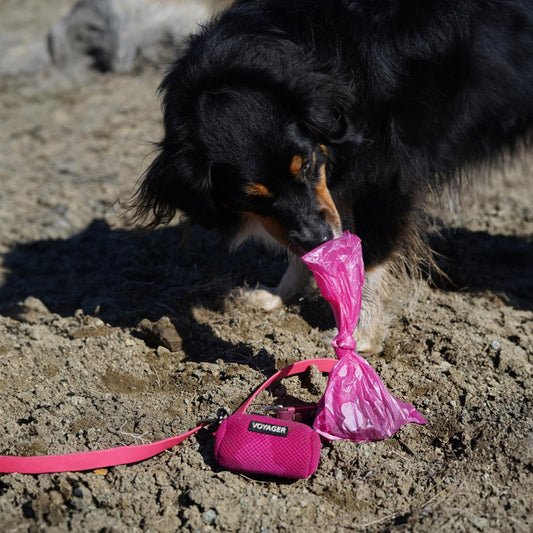 Dog Poop Bag