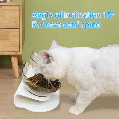 Fun Angled Cat Bowls