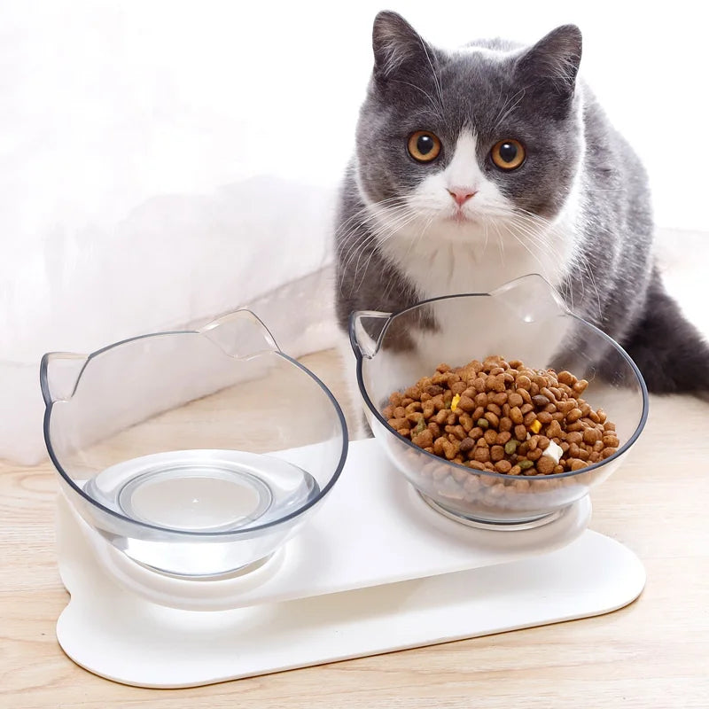 Fun Angled Cat Bowls