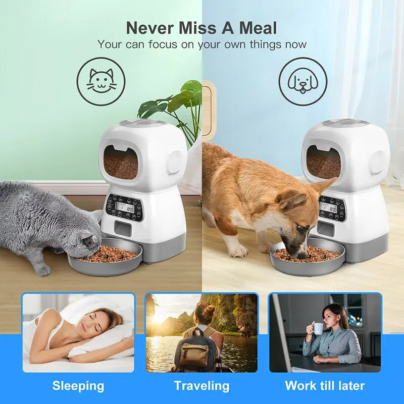 Automatic timed Feeding Dispenser