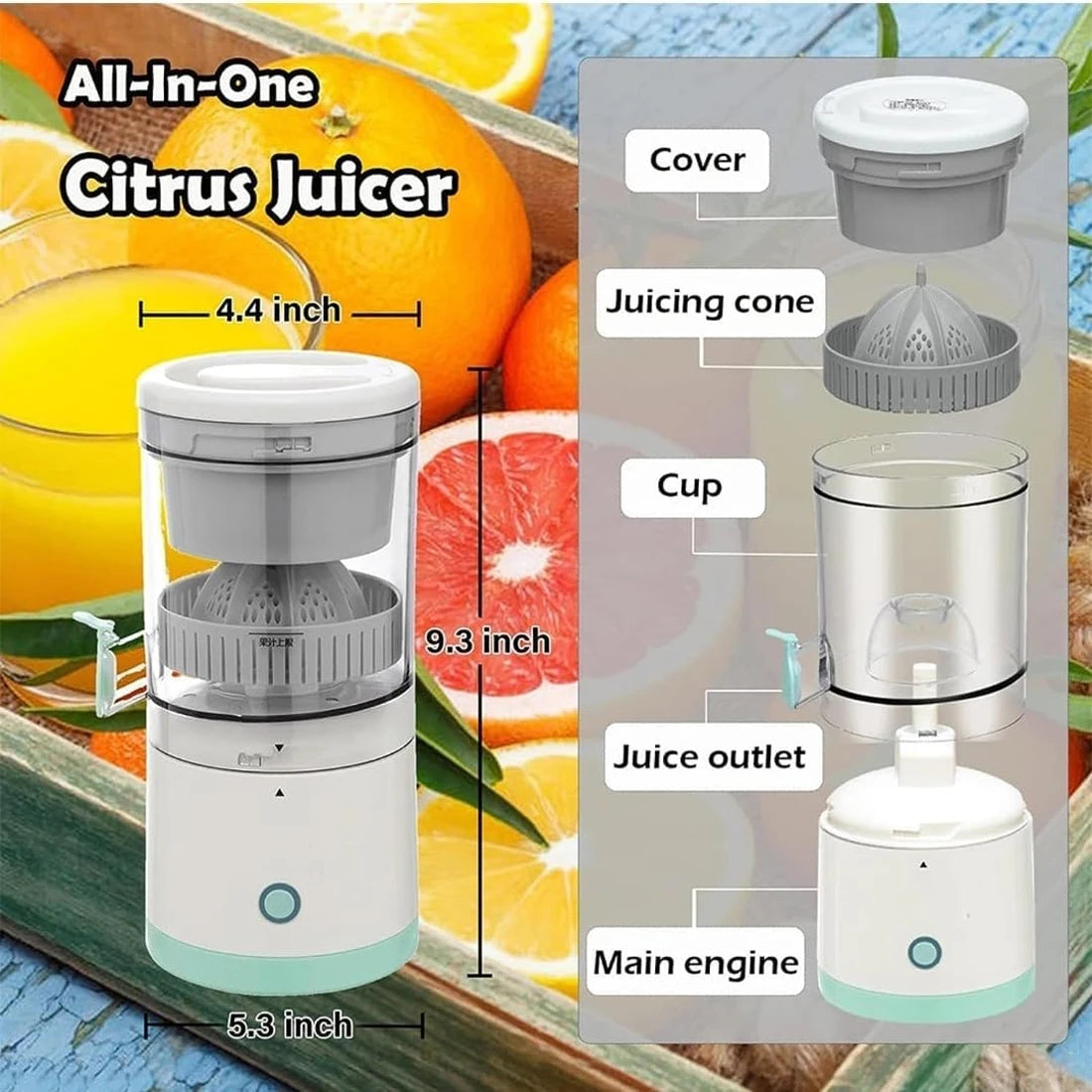 Electric Juicer