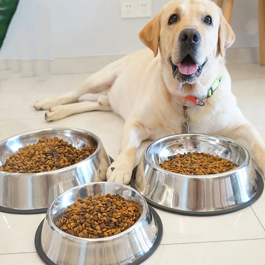 Stainless steel dog bowls