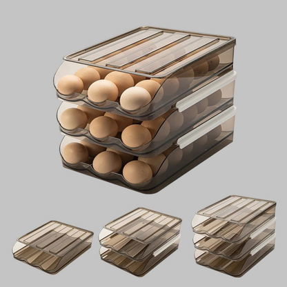 Egg Storage Box