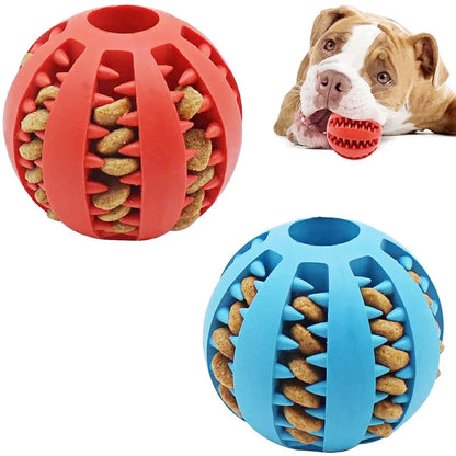 Dog Ball Treat Dropper