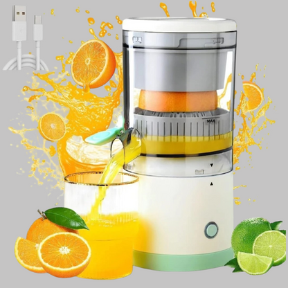 Electric Juicer