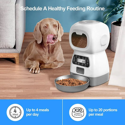 Automatic timed Feeding Dispenser